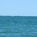 ���� �����, ������ �������� - ��������� 11 ������� 2018 � ������ ������ ��������