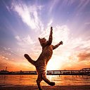 ���� �����, ��������� - ��������� 12 ������� 2017 � ������ ������ ��������