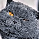 ���� ������, ������, 60 ��� - ��������� 25 ������ 2017 � ������ ���� ����������