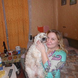 ���������, �����, 50 ���