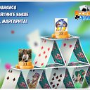  , , 63  -  6  2018    -