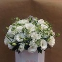 ���� �������, ������, 49 ��� - ��������� 4 ���� 2018 � ������ ���� ����������