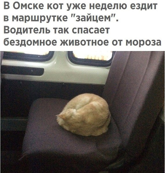     - 3  2017  03:29