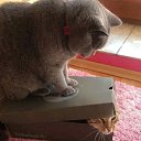 ���� ����, ������ - ��������� 27 ��� 2018 � ������ ���� ����������