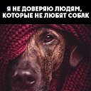 ���� Lora, ���������, 49 ��� - ��������� 30 ������ 2018