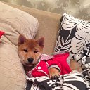 ���� �����, �����-���������, 56 ��� - ��������� 5 ������ 2018 � ������ ������ ��������