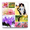 ���� ����, ����������� - ��������� 28 ������ 2018 � ������ ���� ����������