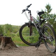 ����� �������, 31 ���, ��������