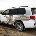 ���� ����, ����������� - ��������� 12 ������� 2018 � ������ ���� ����������