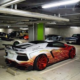 �����������