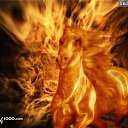 � ��� � - �������� ������! �� ������� ���� ����������