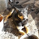 ���� ������, ����� - ��������� 19 ������ 2018