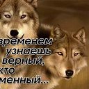���� ������, �����, 44 ���� - ��������� 10 ������� 2018