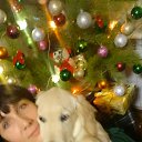 ���� �����, ������ - ��������� 2 ������ 2018