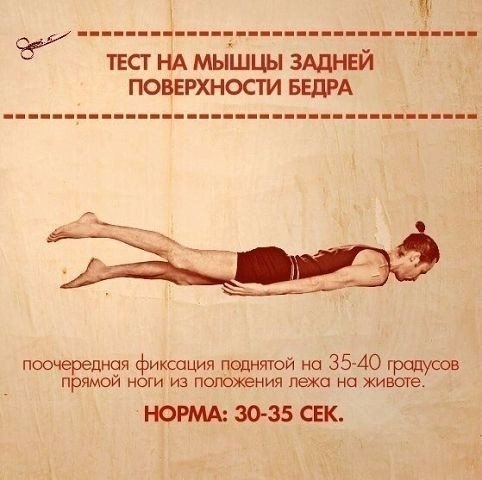 ТЕСТЫ НА ФУНКЦИОНАЛЬНУЮ СЛАБОСТЬ МЫШЦ. Тело нетренированного (а часто и тренированного) человека ... - 8