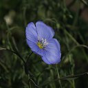 ���� �����, �������, 62 ���� - ��������� 23 ������� 2018 � ������ ����� 2017�