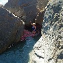 ���� �������, �����������, 53 ���� - ��������� 21 ���� 2018 � ������ ������ ��������