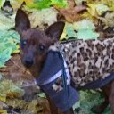 ���� ��������, �����, 65 ��� - ��������� 11 ������� 2018 � ������ ���� �����