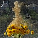 ���� Viva, ����������� ����, 56 ��� - ��������� 20 ������ 2018 � ������ ����������