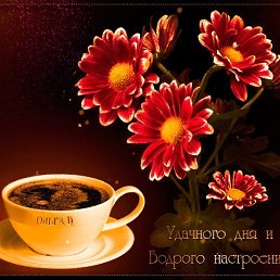 ���� Alekc, �������� - ��������� 18 ������ 2018