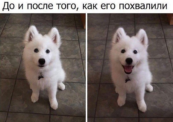 �������� �������� - 4 ������� 2018 � 21:41