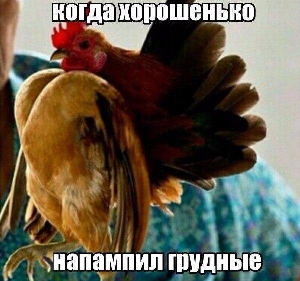 SportFeed - 21 апреля 2018 в 02:40
