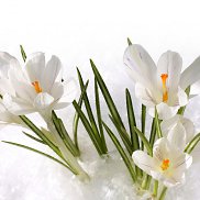 ����, 24 ����, ��������