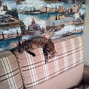 ���� ������, �������, 46 ��� - ��������� 11 ���� 2018