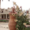 ������...�������� 2018 �. �� ������� ���� ����������