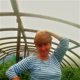 ���� ��������, ����������� - ��������� 16 ������� 2017