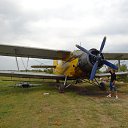 ���� ����, �������, 37 ��� - ��������� 11 ������� 2017 � ������ ���� ����������