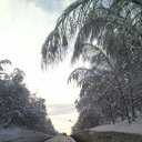 ���� ����, ������ ��������, 45 ��� - ��������� 1 ������� 2017 � ������ ���� ����������