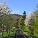 ���� Vasyl, �����-��������� - ��������� 8 ��� 2018