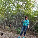  , , , , 53  -  8  2018    2016 - 