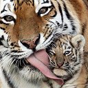 ���� �, ����, 47 ��� - ��������� 19 ������� 2018 � ������ ������ ��������