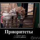 ���� Aleks, ����� ������� - ��������� 9 ���� 2018 � ������ �HORSES�