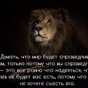 ���� ��������, ������ ��������, 55 ��� - ��������� 20 ������ 2017 � ������ ���� ����������