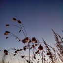 ���� ����, ���������, 67 ��� - ��������� 23 ������ 2018 � ������ ������ ��������