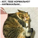 ���� ������, ����, 44 ���� - ��������� 16 ����� 2018 � ������ ���� ����������