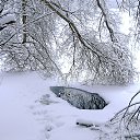 ���� ������, ������ - ��������� 20 ������� 2018 � ������ ������ ��������