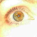 ���� �����, ���������, 57 ��� - ��������� 7 ������� 2017 � ������ ���� ����������