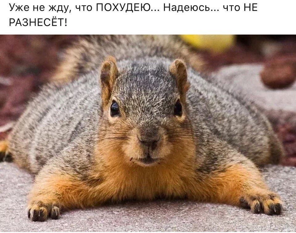 ***Victoria Viktorovna*** - 4  2018  10:28