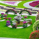 ���� ���� ��������, ����� - ��������� 23 ������� 2017 � ������ ���� ����������