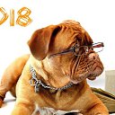 ���� ��������, ����� - ��������� 1 ������ 2018 � ������ ������ ��������