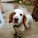 ���� �������, ���������, 54 ���� - ��������� 14 ����� 2018 � ������ ���� ����������