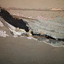 ���� Ctpahhuk, ����, 41 ��� - ��������� 23 ������� 2017 � ������ ������ ��������