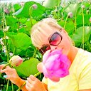 ���� ����������, ����������� - ��������� 2 ���� 2018 � ������ ���� ����������
