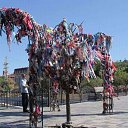 ���� ���� ����������. �� ������� ���� ����������