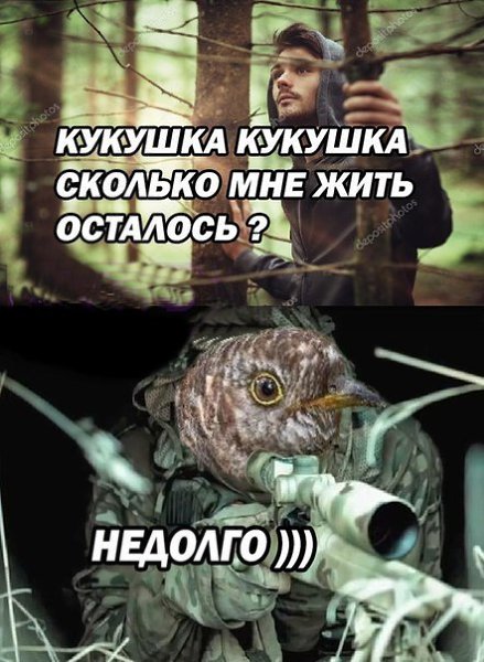   - 25  2018  03:55