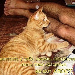 ���� ������, ������-��-����, 66 ��� - ��������� 24 ��� 2018